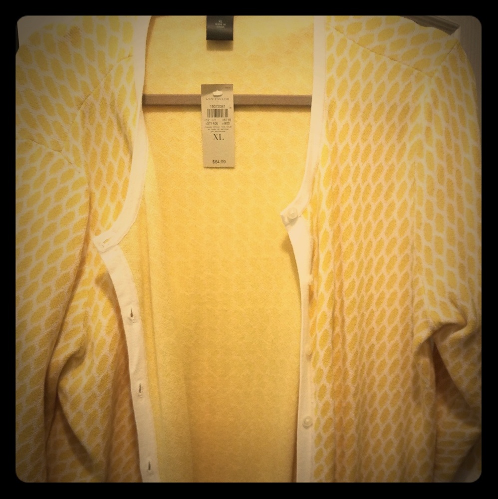 Ann Taylor cardigan